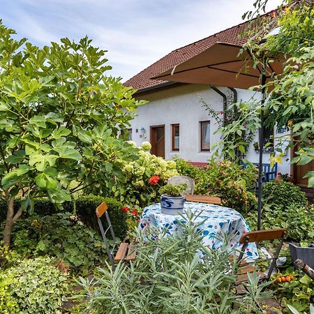 Ferienwohnung Alina Singen Bagian luar foto
