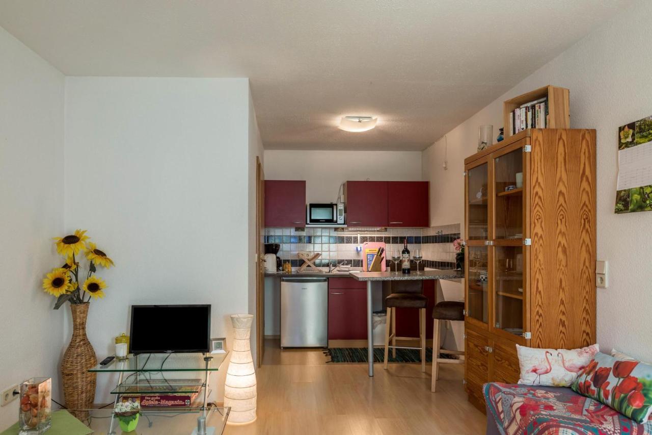 Ferienwohnung Alina Singen Bagian luar foto