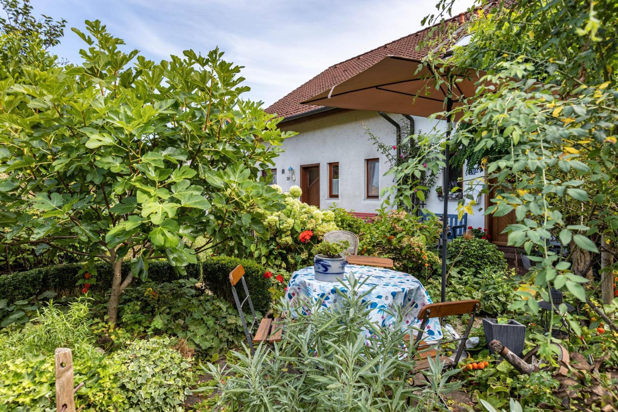 Ferienwohnung Alina Singen Bagian luar foto