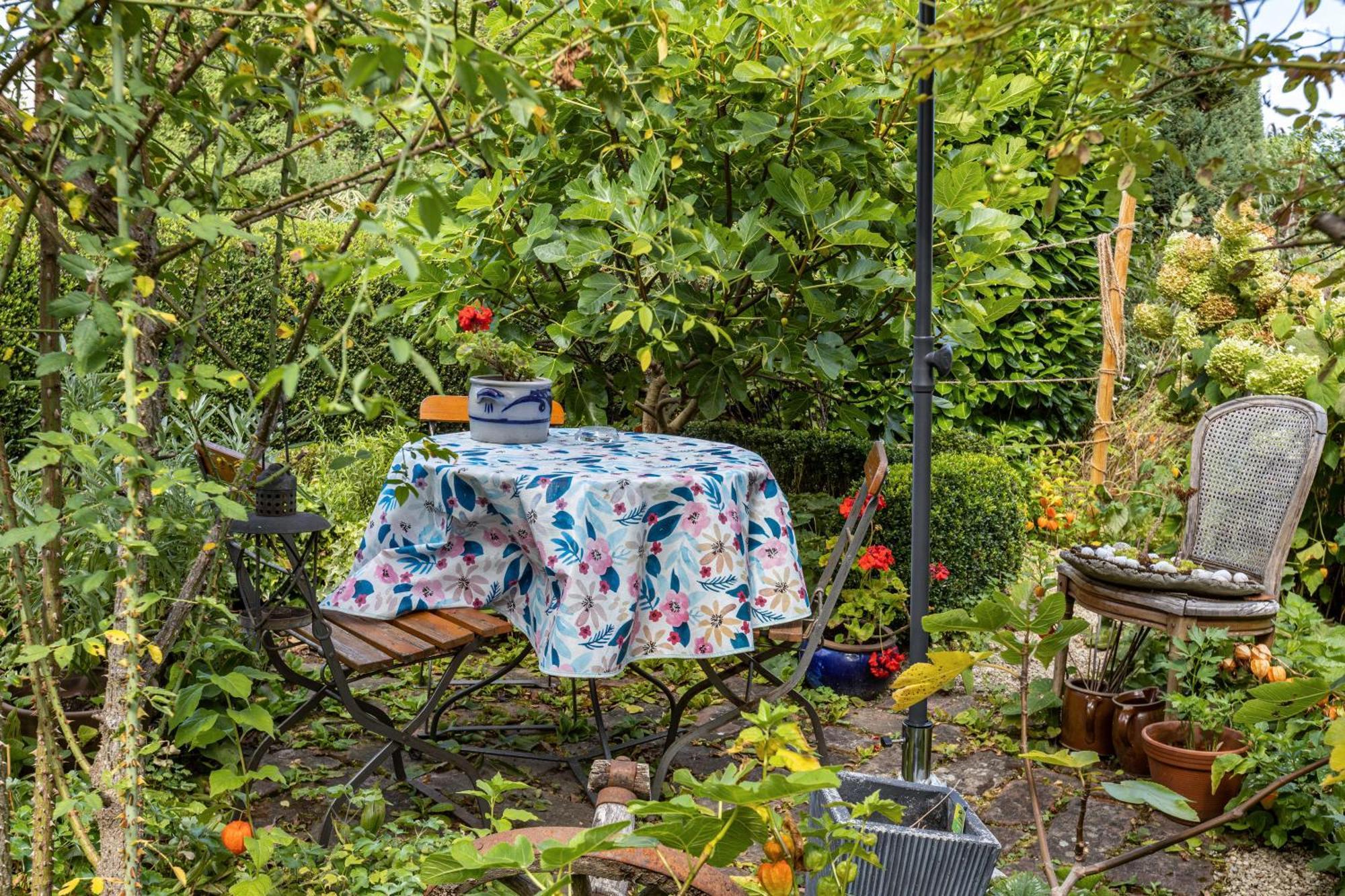 Ferienwohnung Alina Singen Bagian luar foto